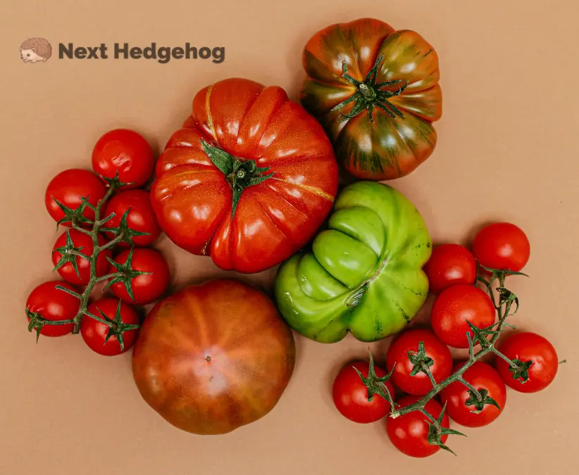 different types of tomato