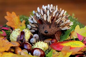 still life, hedgehog, decoration, autumn decoration, multicoloured, hedgehog, hedgehog, hedgehog, hedgehog, hedgehog