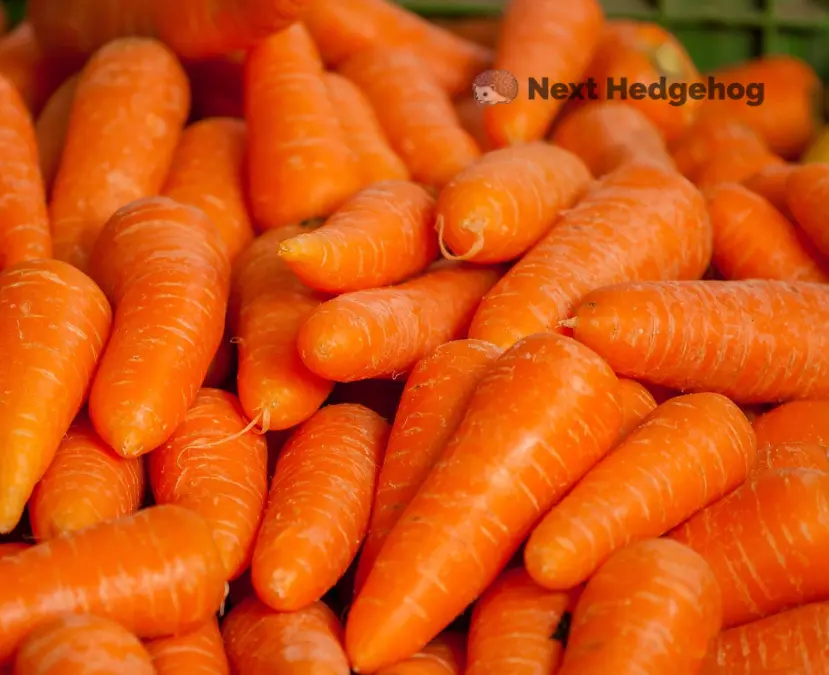 what is carrot