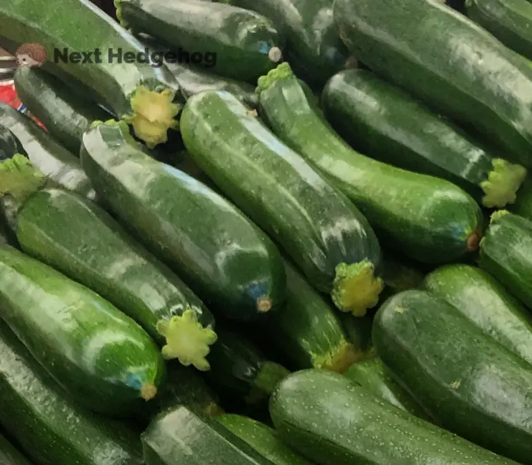 what is zucchini