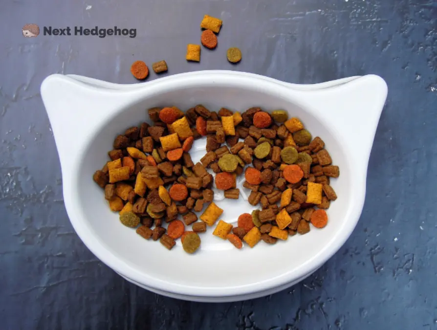 Can Hedgehogs Eat Cat Food? (STOP Before Feeding) cat food