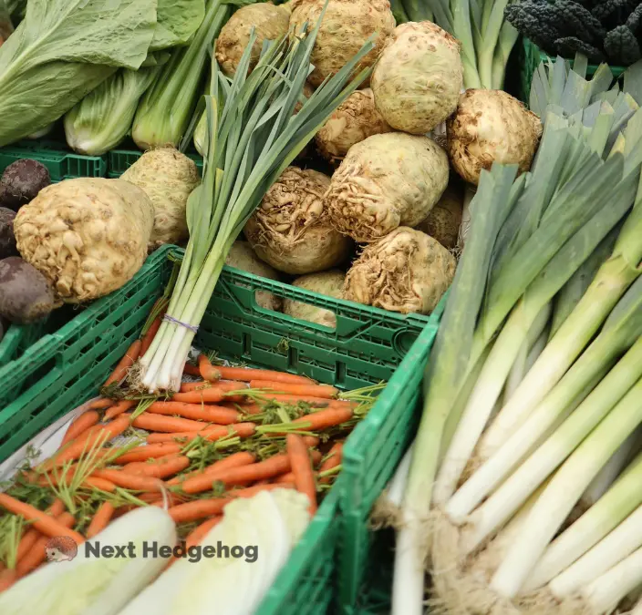 celery