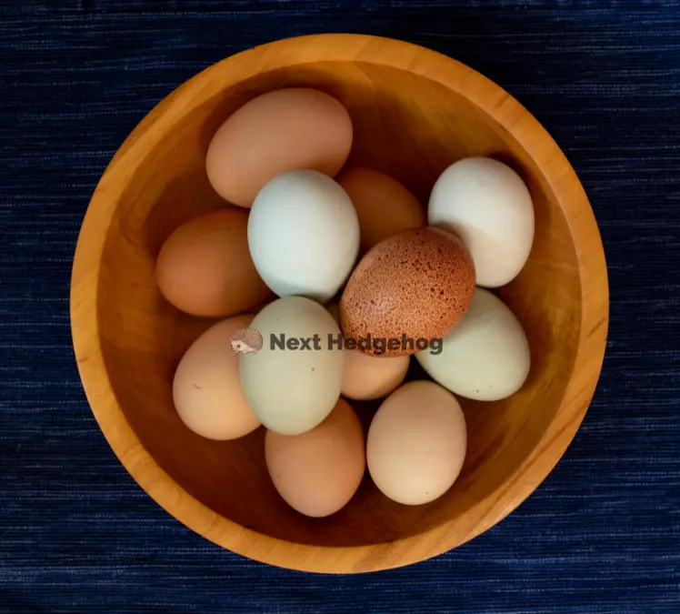 types of eggs