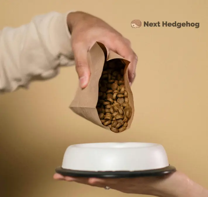 Can Hedgehogs Eat Dog Food? ATTENTION Required for 2026 what is dog food