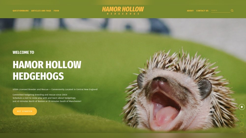 are hedgehogs legal in tennessee