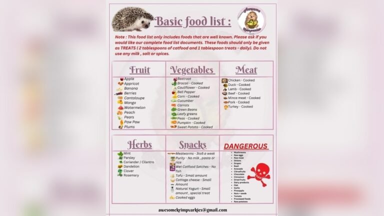 Best Treats for Hedgehogs: Top Healthy and Tasty Snacks