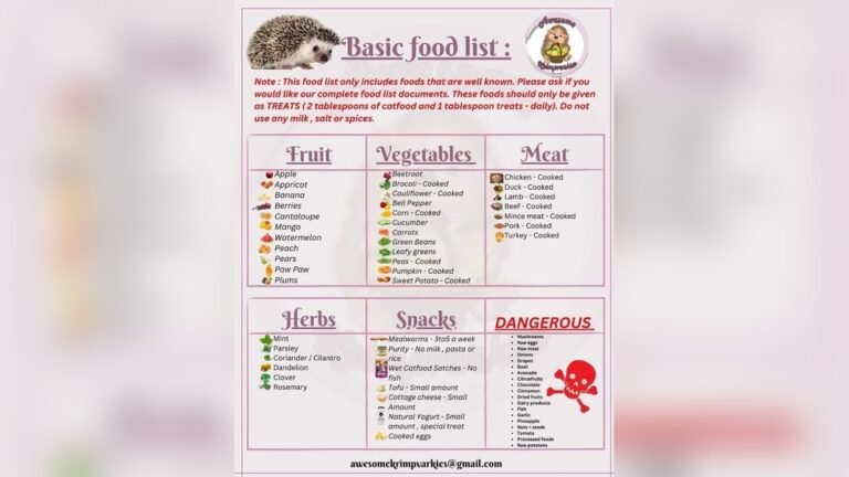 Can Hedgehogs Eat Baby Food? Safe Options and Tips