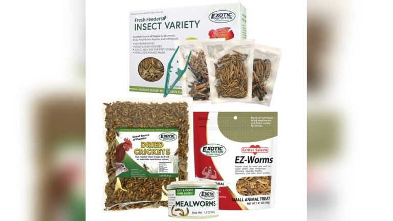 Can Hedgehogs Eat Crickets? Safe Feeding Guide for Pet Owners