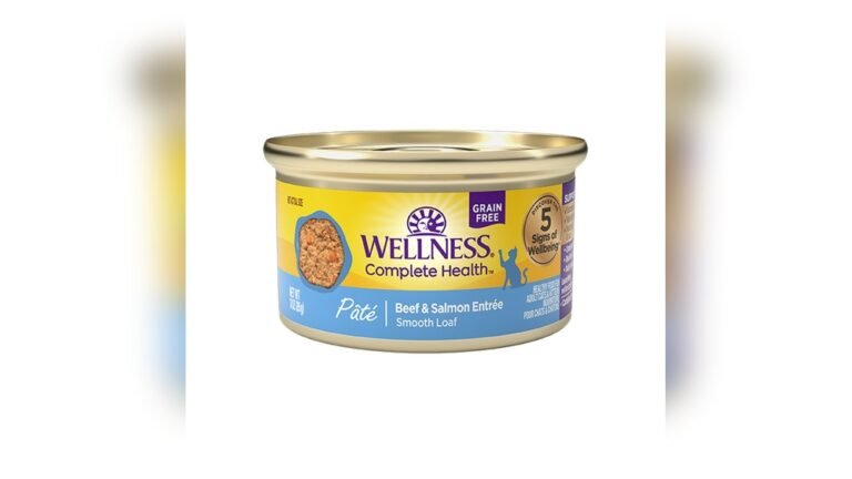 Can Hedgehogs Eat Salmon? Safe Feeding Guide for Pet Owners