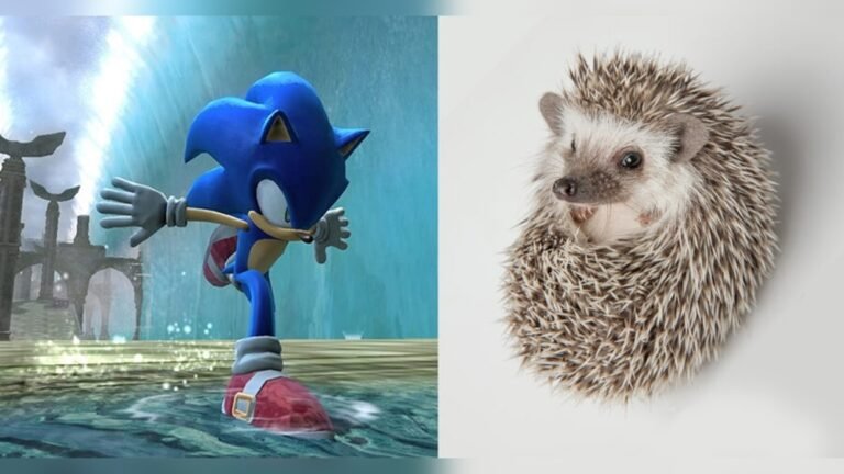 Can Hedgehogs Run Fast: Surprising Speed Facts Revealed!